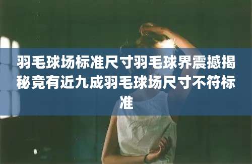 羽毛球场标准尺寸羽毛球界震撼揭秘竟有近九成羽毛球场尺寸不符标准