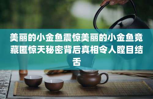 美丽的小金鱼震惊美丽的小金鱼竟藏匿惊天秘密背后真相令人瞠目结舌