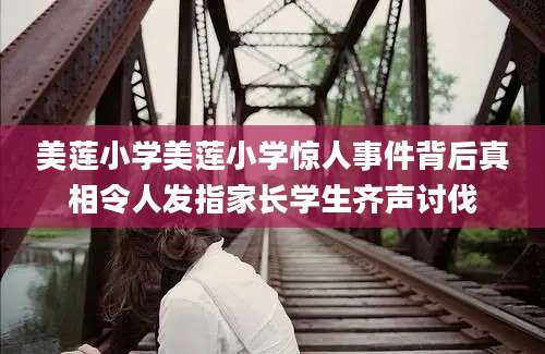 美莲小学美莲小学惊人事件背后真相令人发指家长学生齐声讨伐