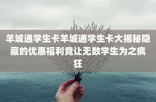 羊城通学生卡羊城通学生卡大揭秘隐藏的优惠福利竟让无数学生为之疯狂