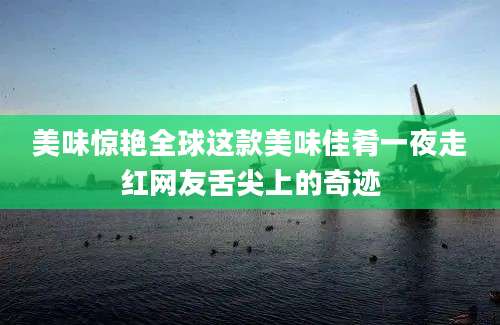 美味惊艳全球这款美味佳肴一夜走红网友舌尖上的奇迹