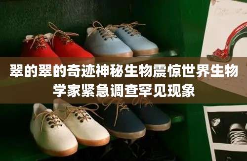 翠的翠的奇迹神秘生物震惊世界生物学家紧急调查罕见现象