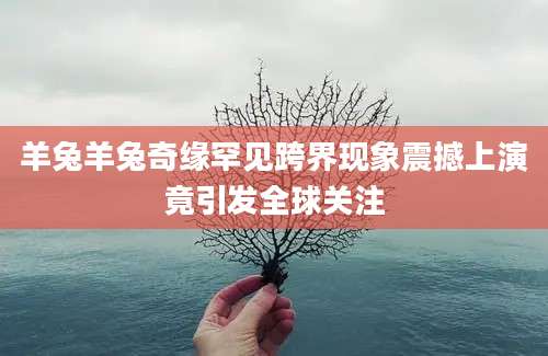 羊兔羊兔奇缘罕见跨界现象震撼上演竟引发全球关注
