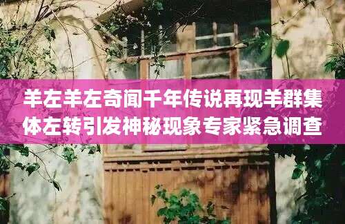 羊左羊左奇闻千年传说再现羊群集体左转引发神秘现象专家紧急调查