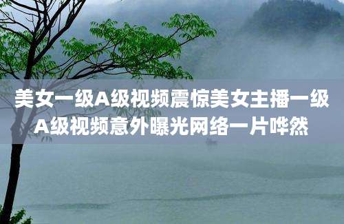 美女一级A级视频震惊美女主播一级A级视频意外曝光网络一片哗然