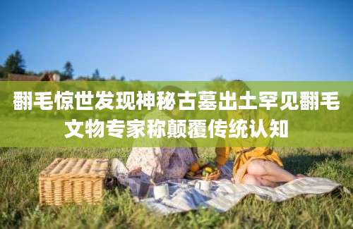 翻毛惊世发现神秘古墓出土罕见翻毛文物专家称颠覆传统认知