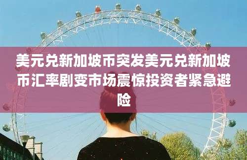 美元兑新加坡币突发美元兑新加坡币汇率剧变市场震惊投资者紧急避险