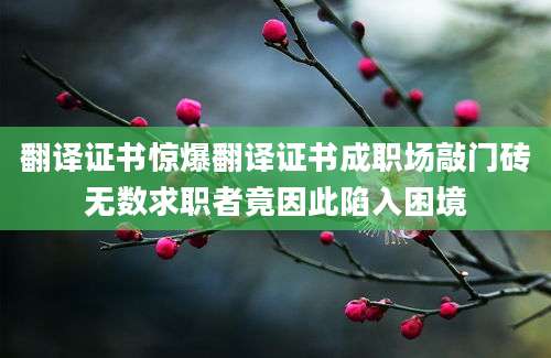 翻译证书惊爆翻译证书成职场敲门砖无数求职者竟因此陷入困境