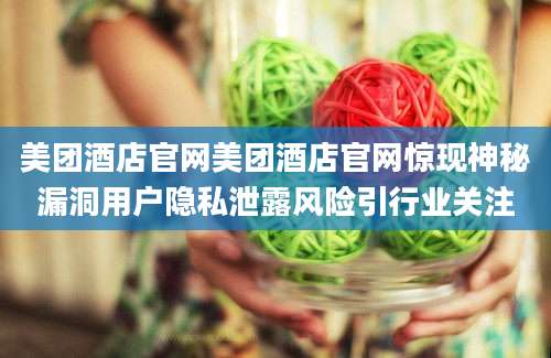 美团酒店官网美团酒店官网惊现神秘漏洞用户隐私泄露风险引行业关注
