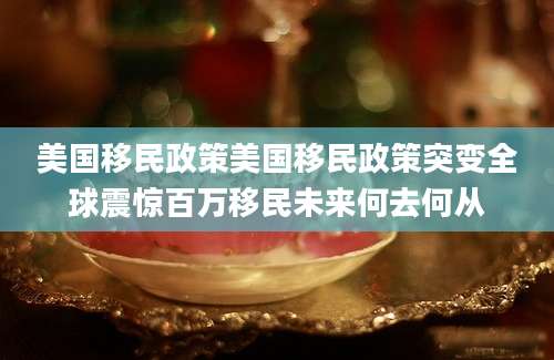 美国移民政策美国移民政策突变全球震惊百万移民未来何去何从