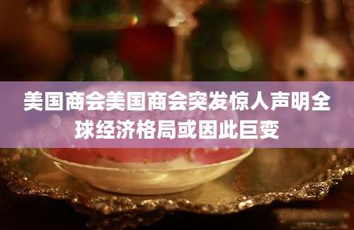 美国商会美国商会突发惊人声明全球经济格局或因此巨变