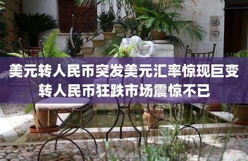 美元转人民币突发美元汇率惊现巨变转人民币狂跌市场震惊不已