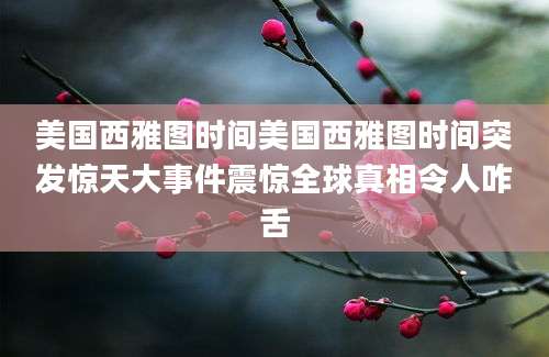 美国西雅图时间美国西雅图时间突发惊天大事件震惊全球真相令人咋舌