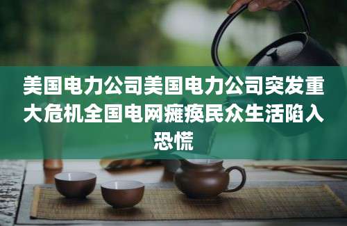 美国电力公司美国电力公司突发重大危机全国电网瘫痪民众生活陷入恐慌