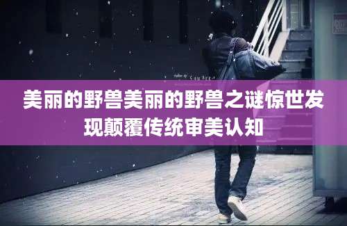 美丽的野兽美丽的野兽之谜惊世发现颠覆传统审美认知