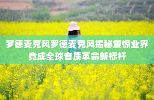 罗德麦克风罗德麦克风揭秘震惊业界竟成全球音质革命新标杆