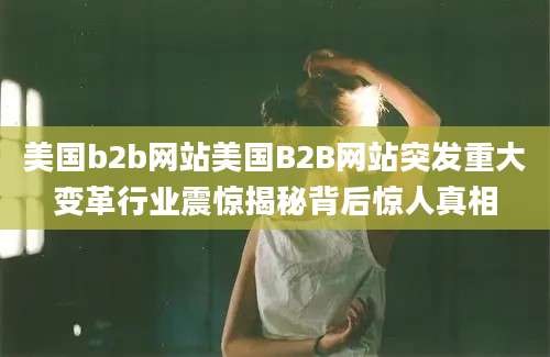 美国b2b网站美国B2B网站突发重大变革行业震惊揭秘背后惊人真相