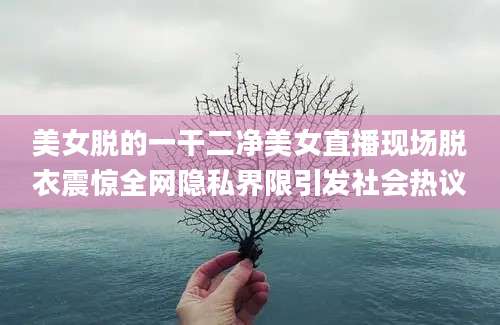 美女脱的一干二净美女直播现场脱衣震惊全网隐私界限引发社会热议