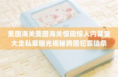 美国海关美国海关惊现惊人内幕重大走私案曝光揭秘跨国犯罪链条
