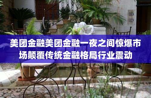 美团金融美团金融一夜之间惊爆市场颠覆传统金融格局行业震动
