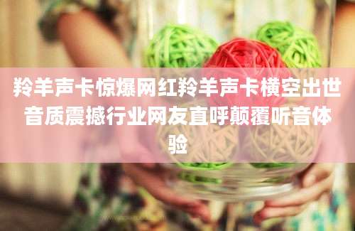 羚羊声卡惊爆网红羚羊声卡横空出世音质震撼行业网友直呼颠覆听音体验