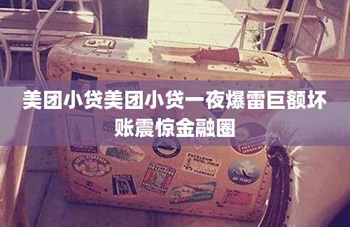 美团小贷美团小贷一夜爆雷巨额坏账震惊金融圈